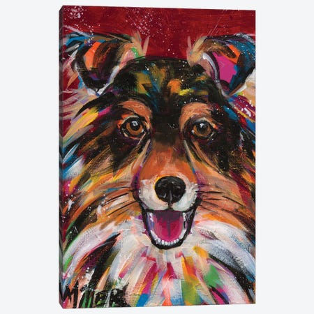 Sheltie Smile Canvas Print #TCY145} by Tracy Miller Canvas Print