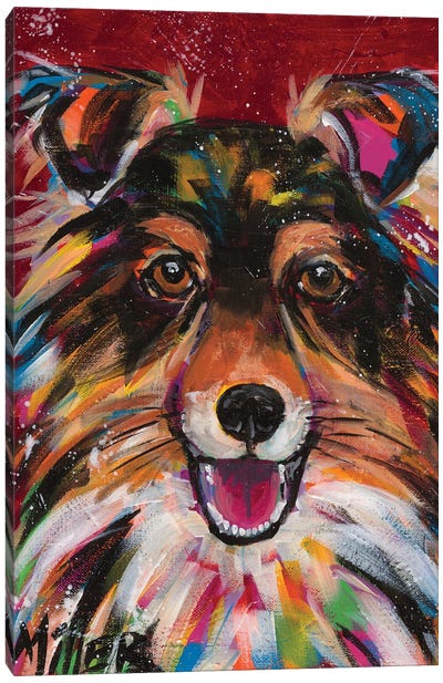 Sheltie Smile Canvas Art Print - Shetland Sheepdog Art
