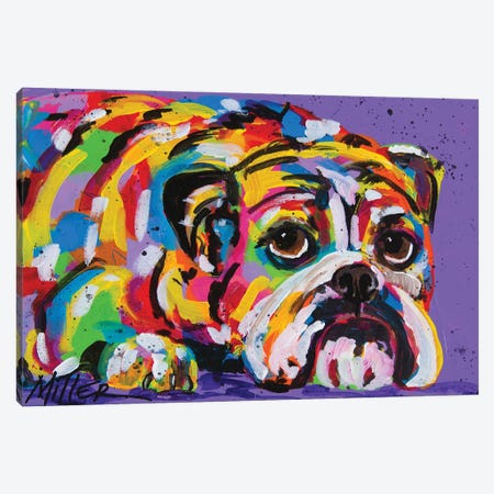 Bulldog Ben Canvas Art Print by Tracy Miller | iCanvas