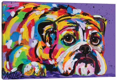 Taking a Break Canvas Art Print - Bulldog Art