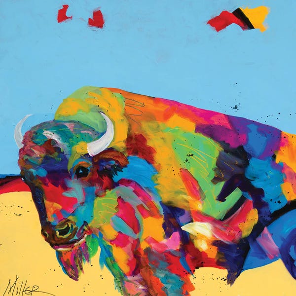 Bison & Buffaloes: Yellow Prairie Blue Sky by Tracy Miller