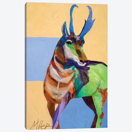 Lone Pronghorn Canvas Print #TCY157} by Tracy Miller Canvas Wall Art