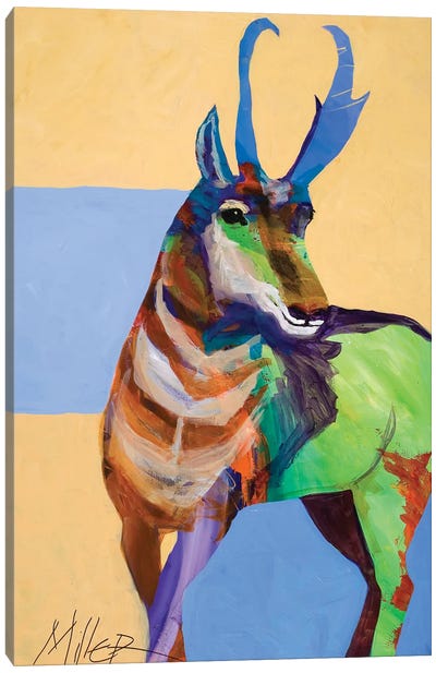 Lone Pronghorn Canvas Art Print - Tracy Miller