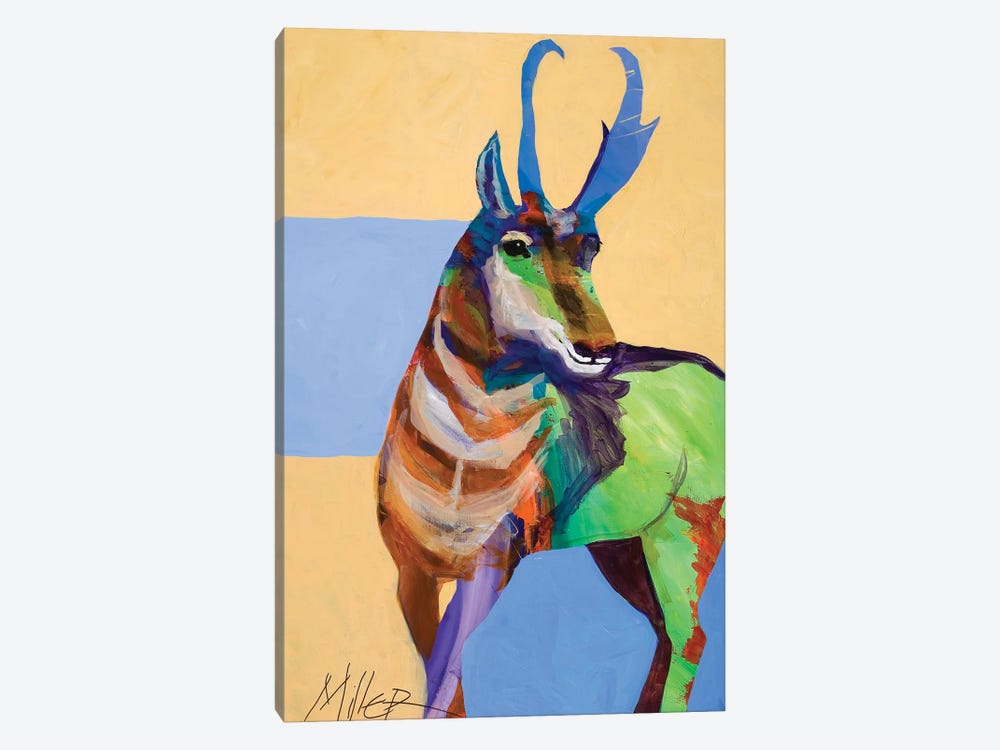 Lone Pronghorn by Tracy Miller 1-piece Canvas Artwork