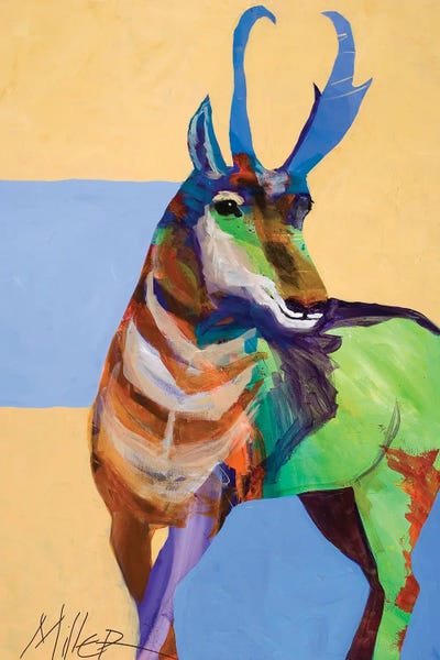 Pronghorns: Lone Pronghorn by Tracy Miller