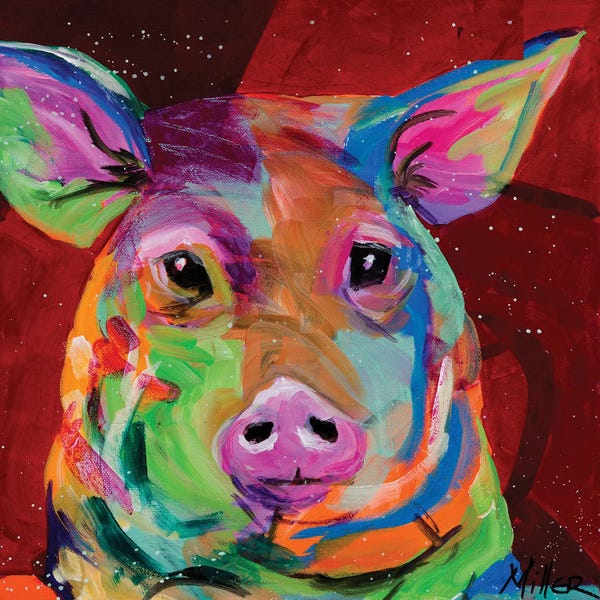 Pigs: Oink! by Tracy Miller