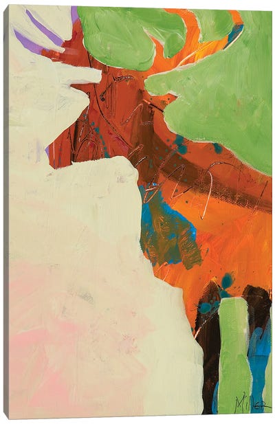 Elk Slumber Canvas Art Print - Tracy Miller