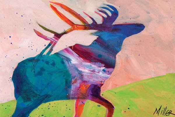 Elk: Fall Sounds by Tracy Miller