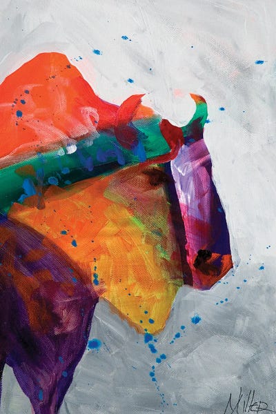 Buffalo Essence by Tracy Miller canvas print