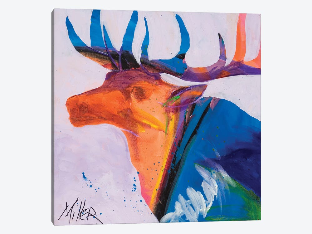 Moody Elk by Tracy Miller 1-piece Canvas Print
