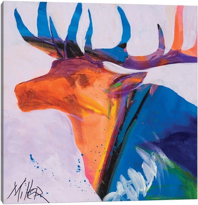 Moody Elk Canvas Art Print - Elk Art