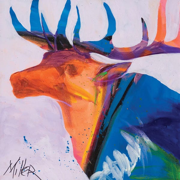 Elk: Moody Elk by Tracy Miller