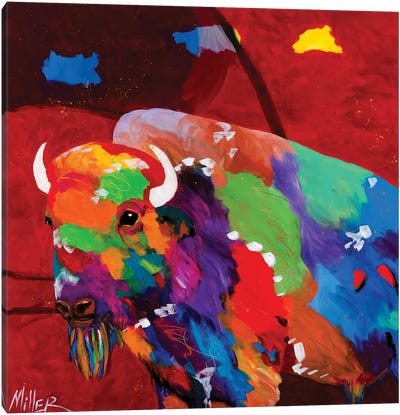 Bison and Red Sky Canvas Art Print - Tracy Miller