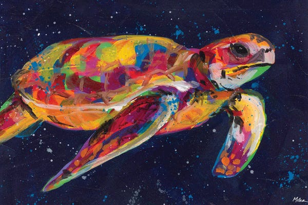 Turtles: Big Flippers by Tracy Miller