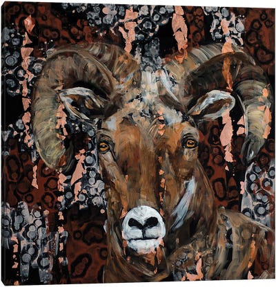 Horns Aplenty Canvas Art Print - Sheep Art