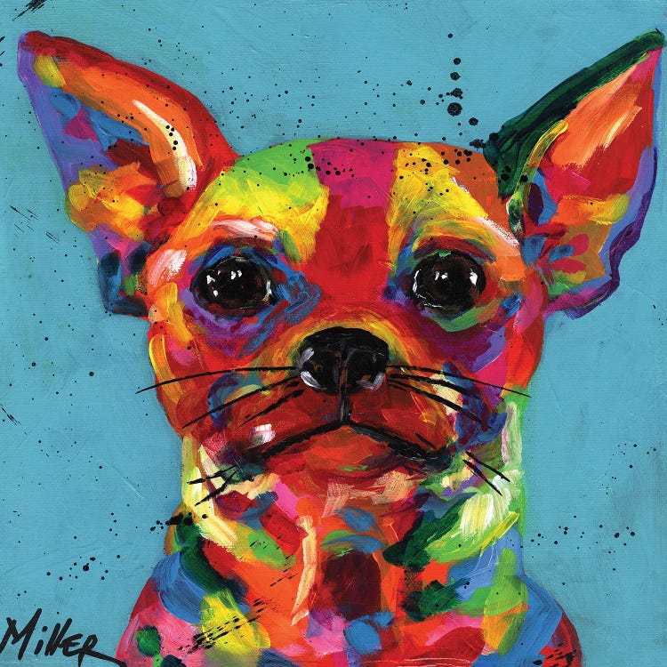 Aye Chihuahua by Tracy Miller wall art