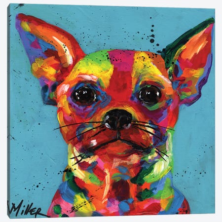 Aye Chihuahua Canvas Print #TCY1} by Tracy Miller Canvas Artwork