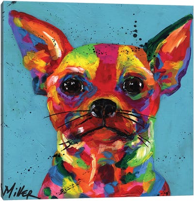 Aye Chihuahua Canvas Art Print - Tracy Miller