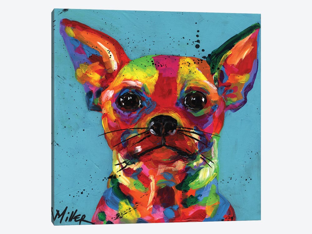 Aye Chihuahua by Tracy Miller 1-piece Canvas Print
