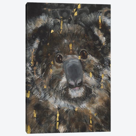 Koala Canvas Print #TCY200} by Tracy Miller Art Print