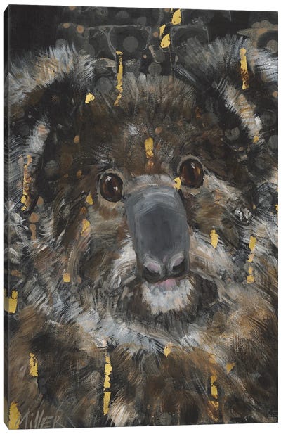 Koala Canvas Art Print - Emotive Animals
