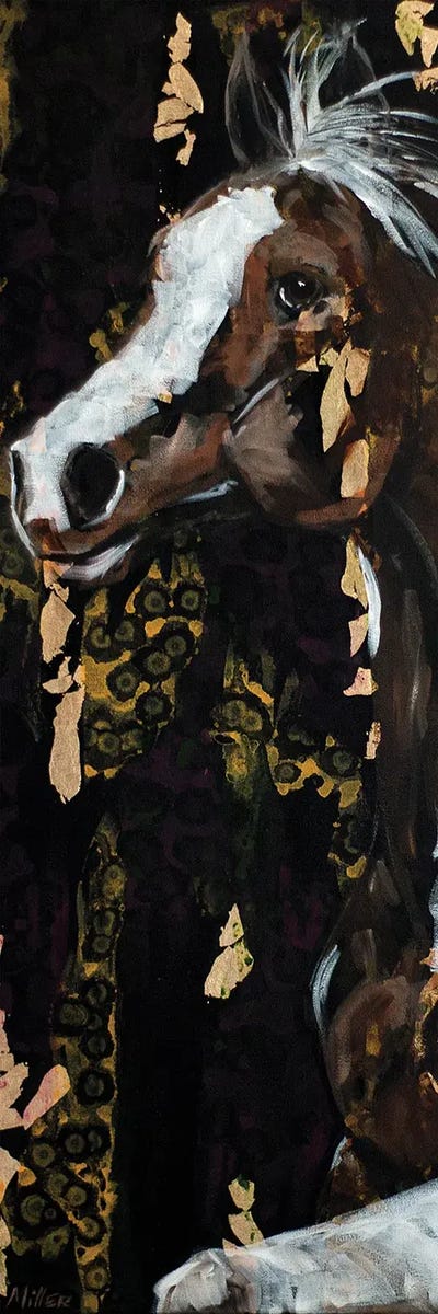 Pinto by Tracy Miller canvas print