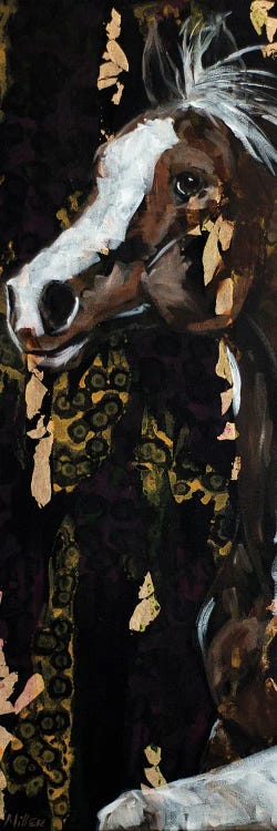 Pinto by Tracy Miller wall art