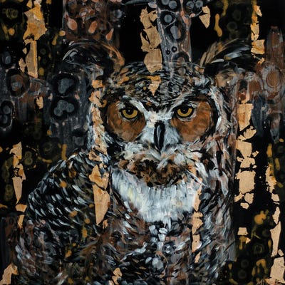 Night Owl by Tracy Miller framed wall art