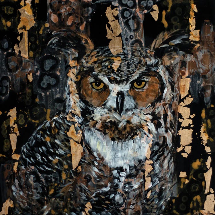 Night Owl by Tracy Miller wall art