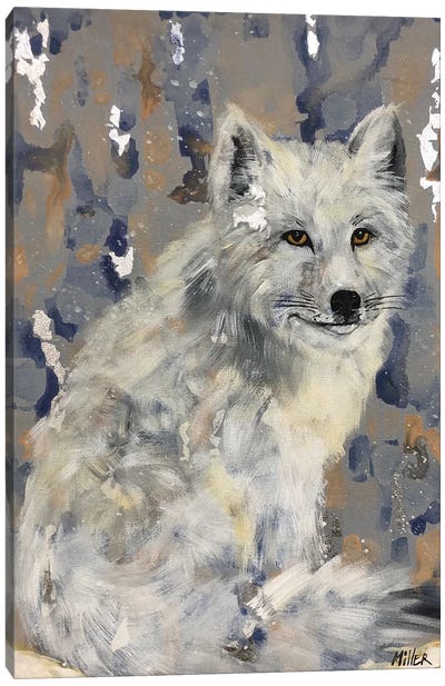 Arctic Fox Canvas Art Print - Tracy Miller