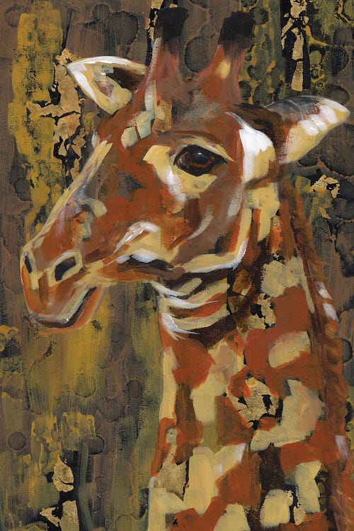 Somber Look by Tracy Miller wall art