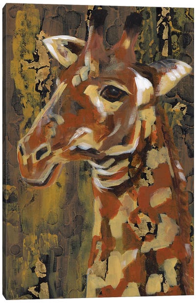 Somber Look Canvas Art Print - Tracy Miller