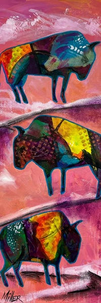 Bison & Buffaloes: Snow Tracks by Tracy Miller