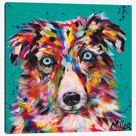Aussie Stare Canvas Print #TCY25} by Tracy Miller Canvas Print