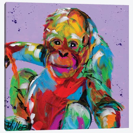 Baby Orangutan Canvas Print #TCY26} by Tracy Miller Canvas Print