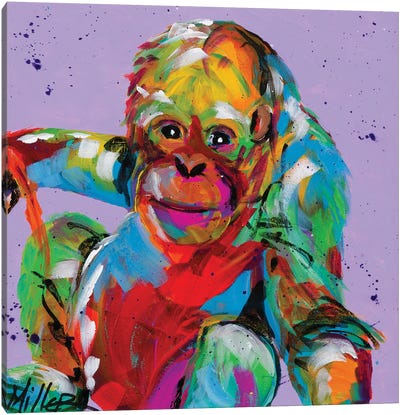 Baby Orangutan Canvas Art Print - Tracy Miller