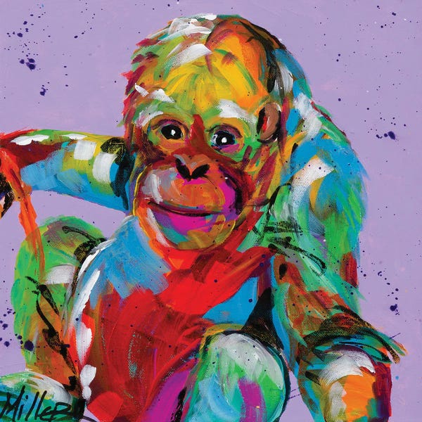 Orangutans: Baby Orangutan by Tracy Miller