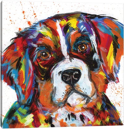 Bernese Mountain Dog Canvas Art Print - Tracy Miller