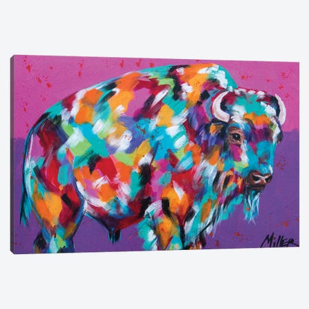Bison Majesty Canvas Print #TCY33} by Tracy Miller Canvas Print