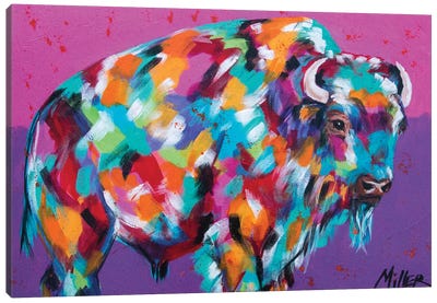 Bison Majesty Canvas Art Print - Tracy Miller
