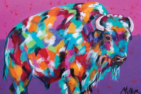 Bison & Buffaloes: Bison Majesty by Tracy Miller