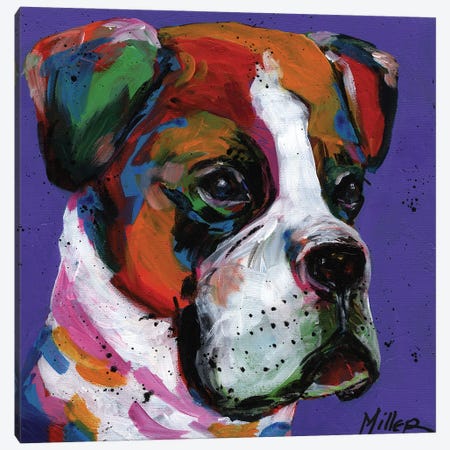 Boo Boxer Canvas Print #TCY34} by Tracy Miller Canvas Art
