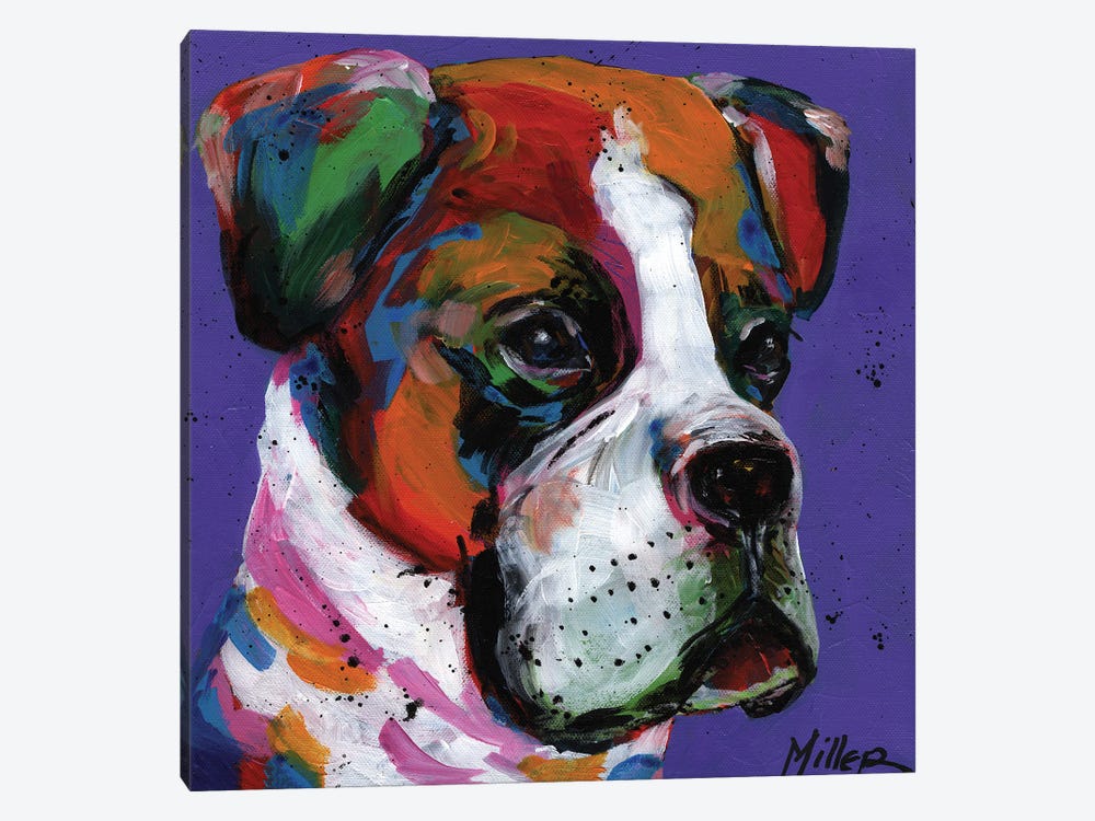 Boo Boxer by Tracy Miller 1-piece Canvas Wall Art
