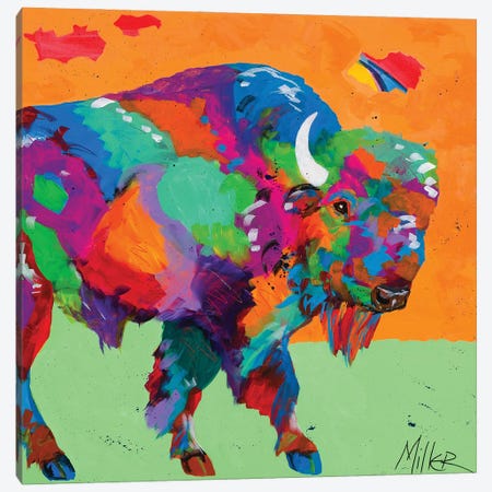 Buffalo Glow Canvas Print #TCY37} by Tracy Miller Canvas Wall Art