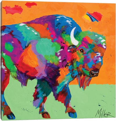 Buffalo Glow Canvas Art Print - Tracy Miller