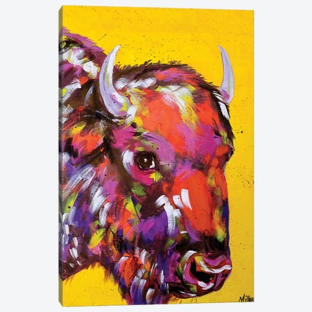 Bison in Yellow Canvas Print #TCY3} by Tracy Miller Canvas Artwork