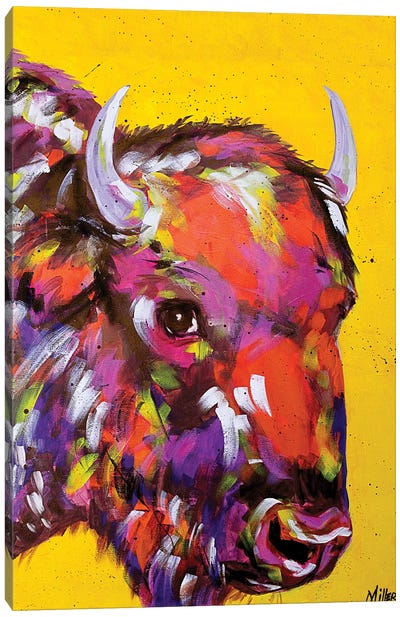 Bison in Yellow Canvas Art Print - Tracy Miller
