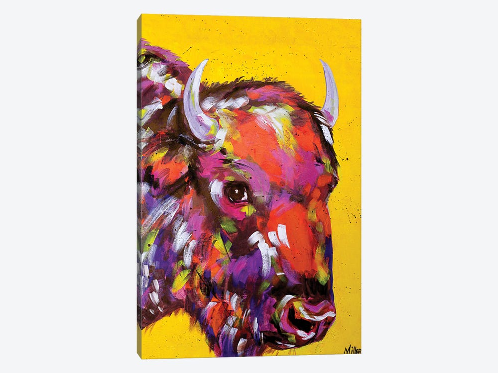 Bison in Yellow by Tracy Miller 1-piece Canvas Art Print