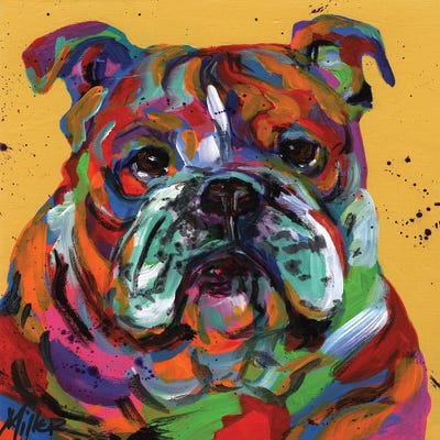 Bulldog Ben Canvas Art Print by Tracy Miller | iCanvas