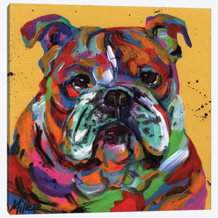 Bulldog Ben Canvas Print #TCY40} by Tracy Miller Canvas Wall Art